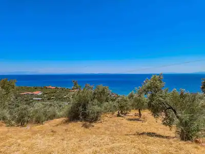 ÇANAKKALE AYVACIK ASSOS KAYALAR DENIZ MANZARALI SATILIK ZEYTİNLİK