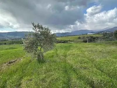 KİRAZDA 20.723 M² STRATEJIK KONUM VE ÖZELLIKLERDE SATILIK ARAZI