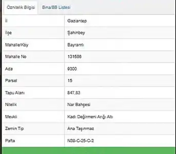 REMAX ÖZGÜR'DEN ASFALT YOLA SIFIR NAR BAHÇESİ