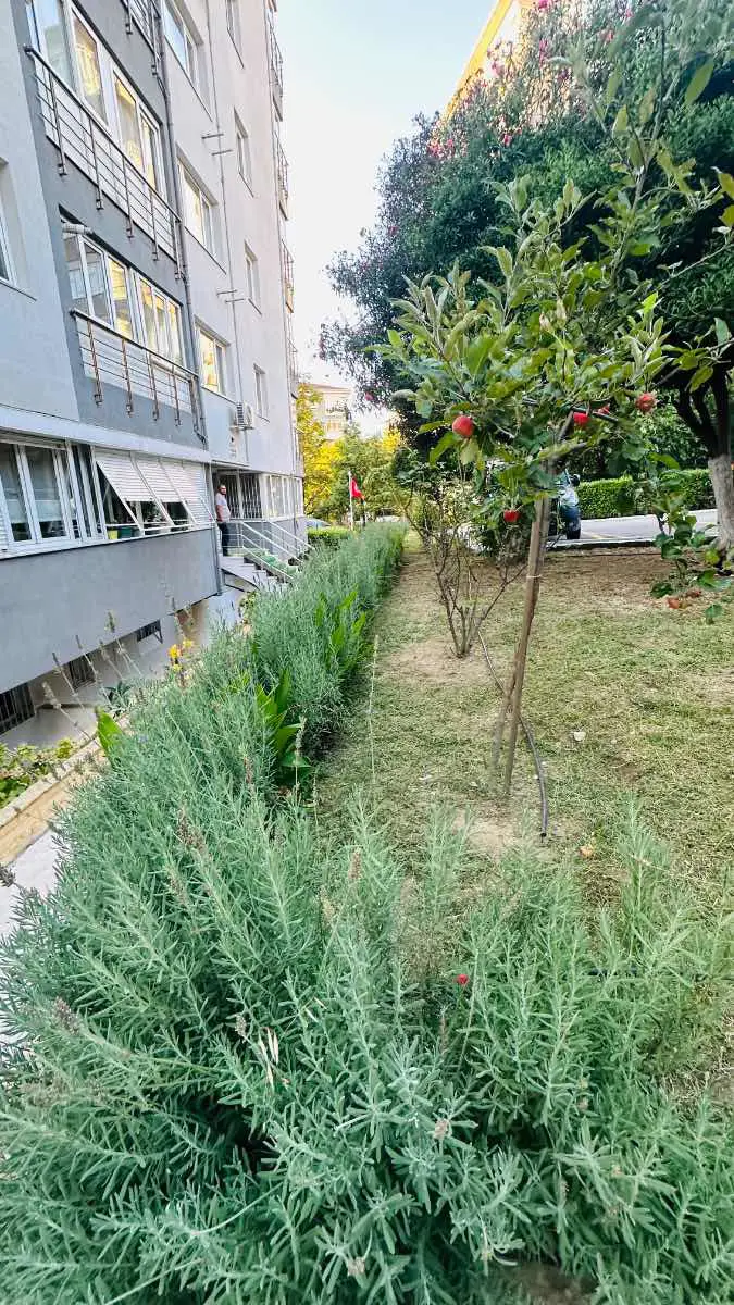 Property image 23