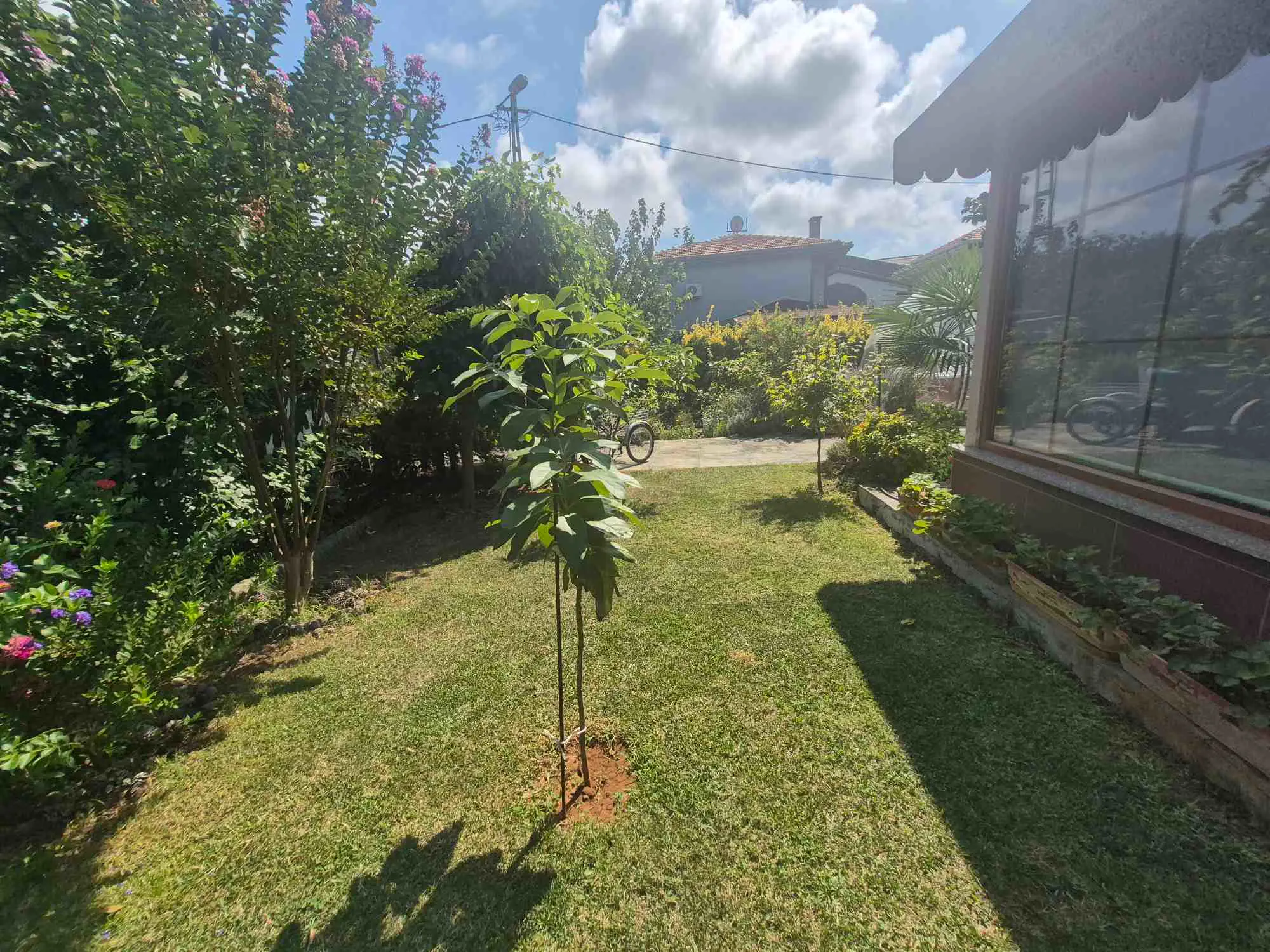 Property image 43
