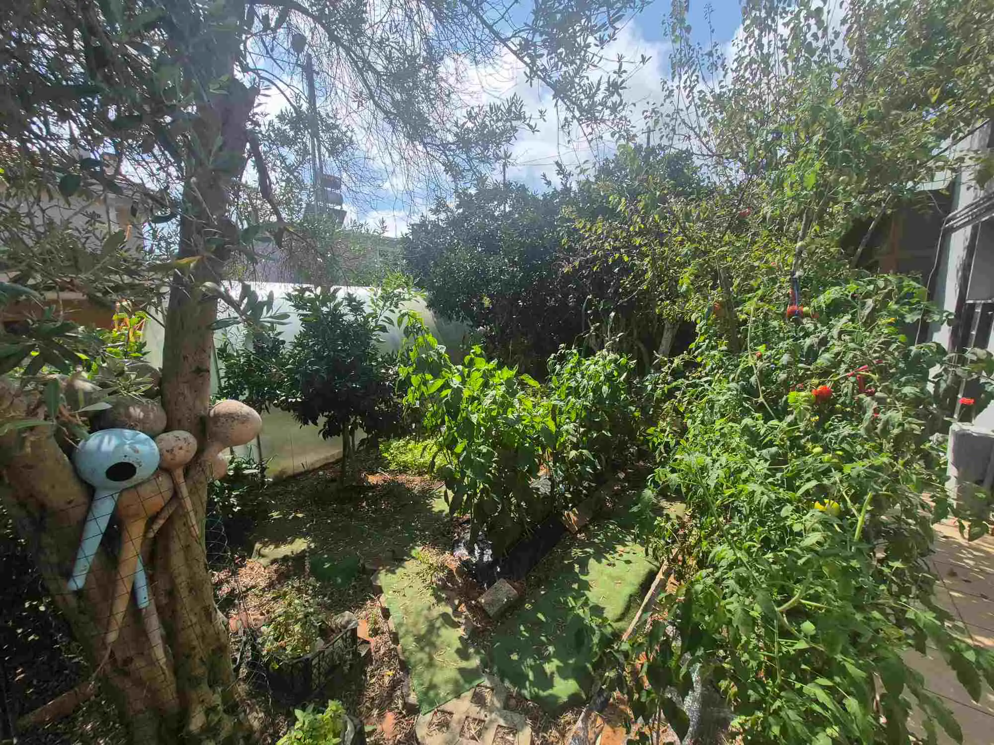 Property image 39