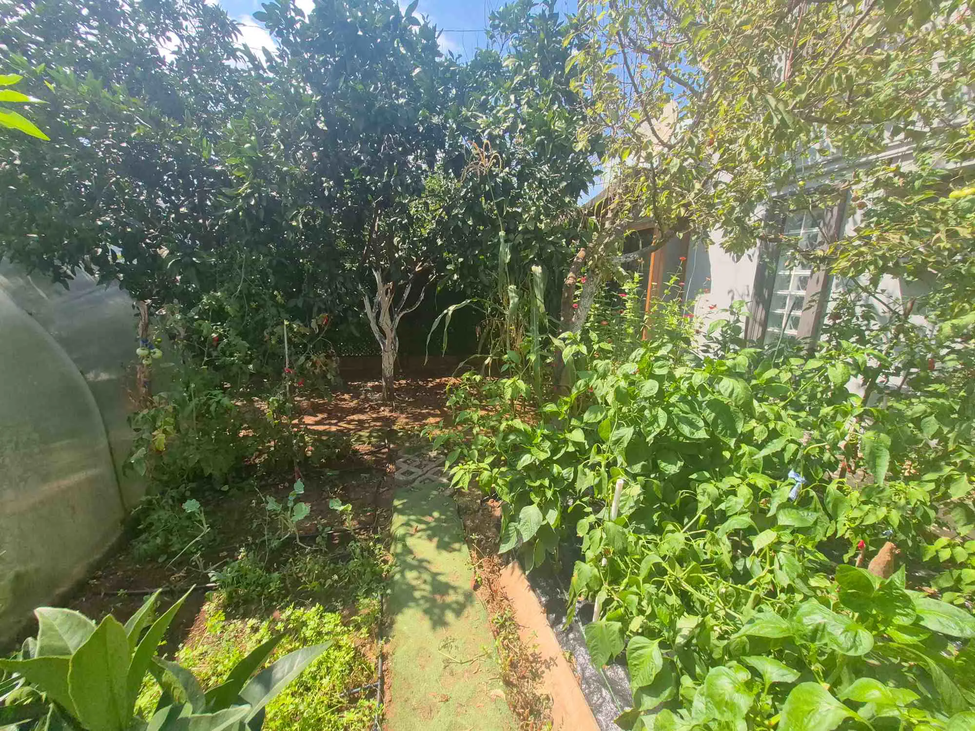 Property image 40