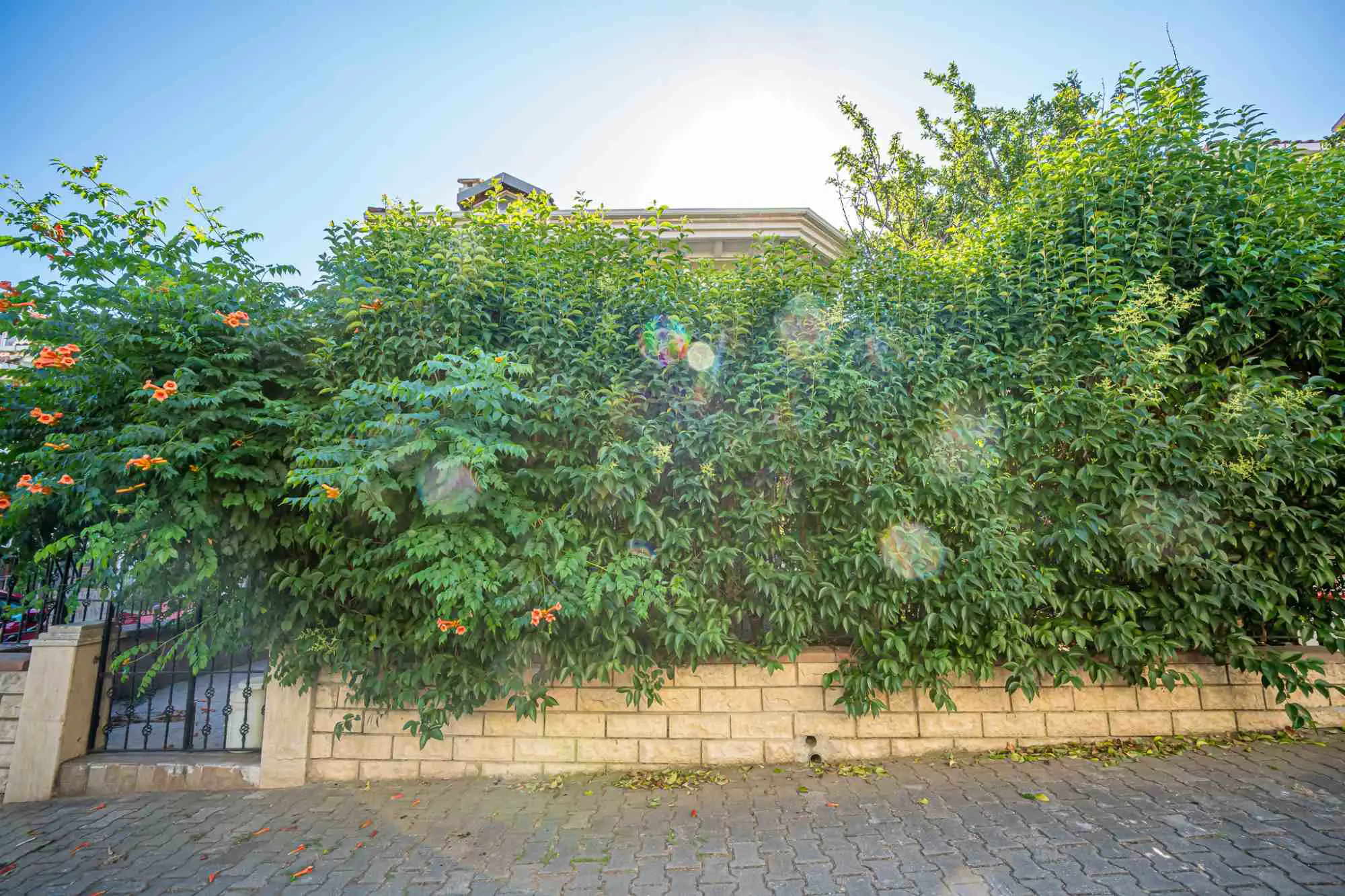 Property image 23