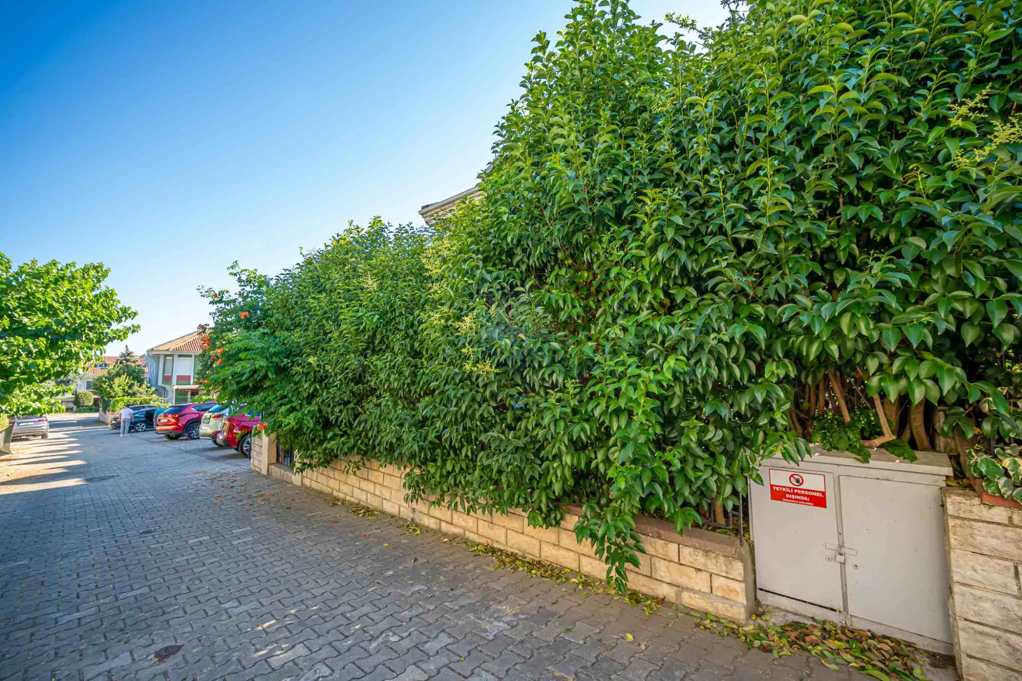 Property image 24