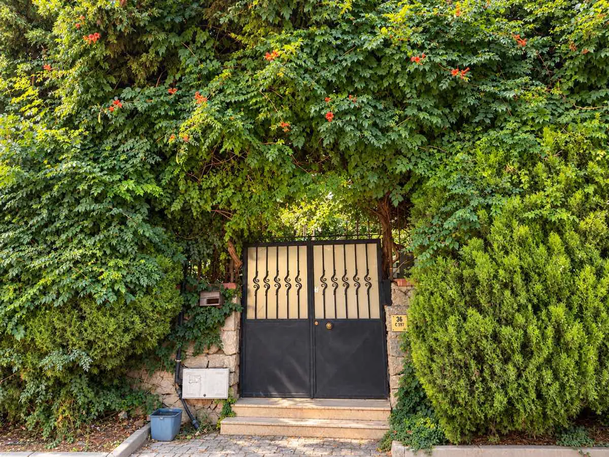 REMAX7TEPE'DEN ACARKENT ANA YOL ÜZERİ | TİCARİ KULLANIMA UYGUN | MÜSTAKİL BAHÇELİ 3 KATLI VİLLA