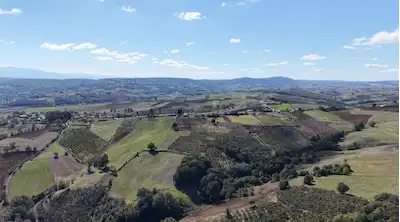 İZMİT BAĞLICA'DA 9.121 M2 SATILIK GENİŞ ARAZİ