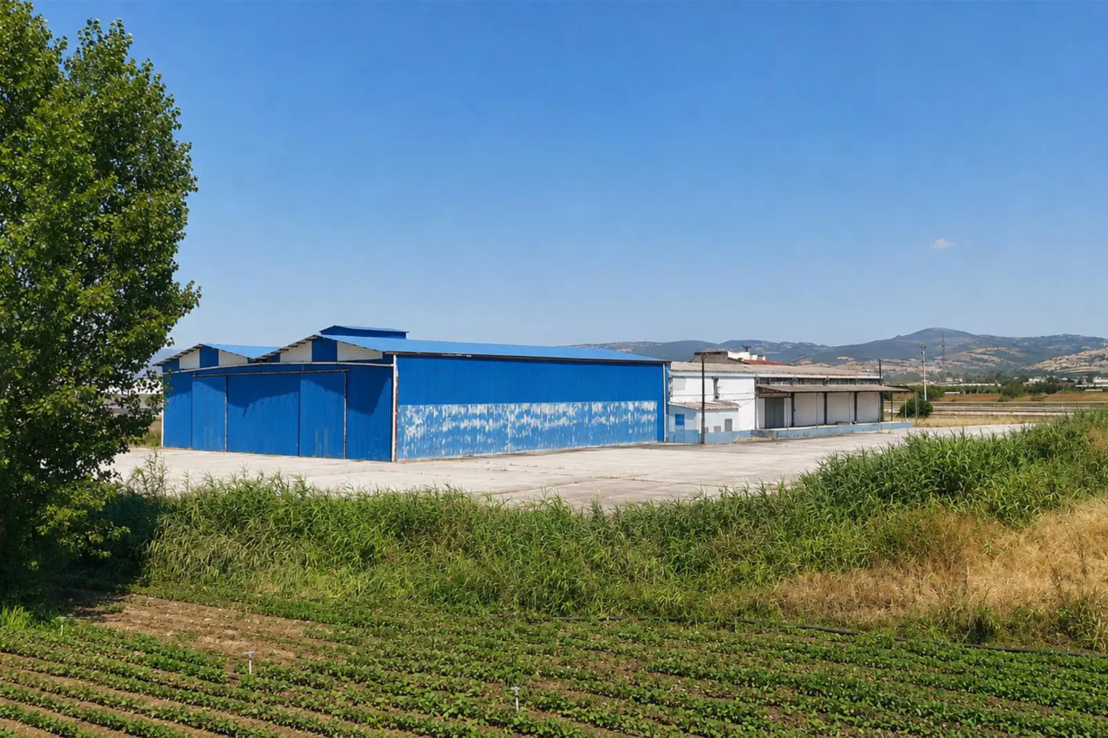 Property image 11