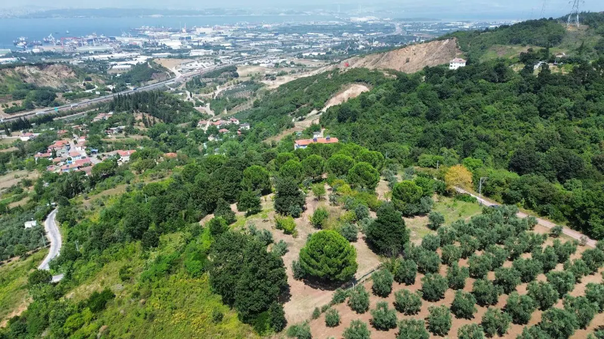 YALOVA ALTINOVA HAVUZDERE'DE SATILIK TARLA