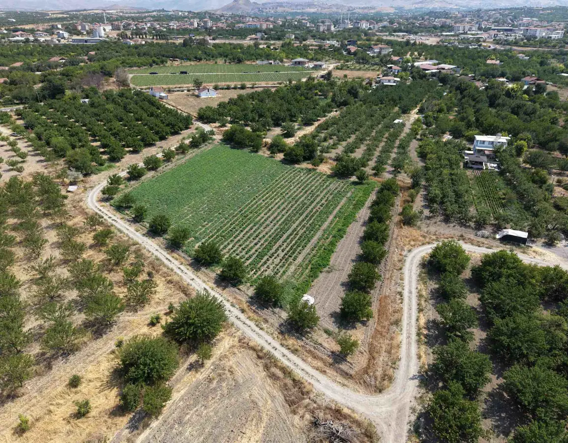 ALACAKAPI'DA 3CEPHESİ YOL 7750 M² MÜSTAKİL BAHÇE