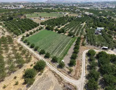 ALACAKAPI'DA 3CEPHESİ YOL 7750 M² MÜSTAKİL BAHÇE