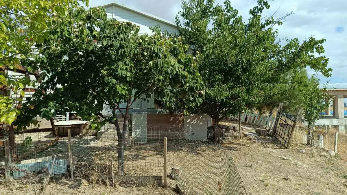Property image 17