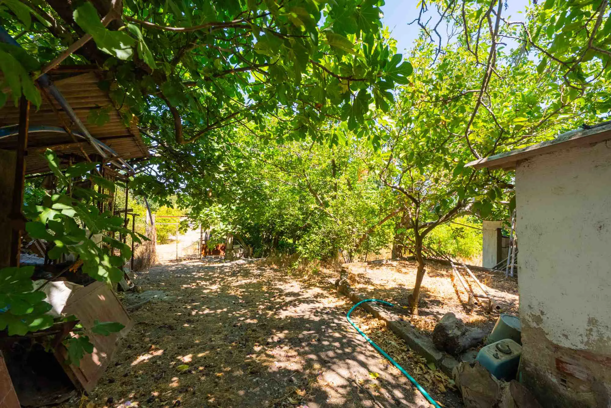 Property image 23