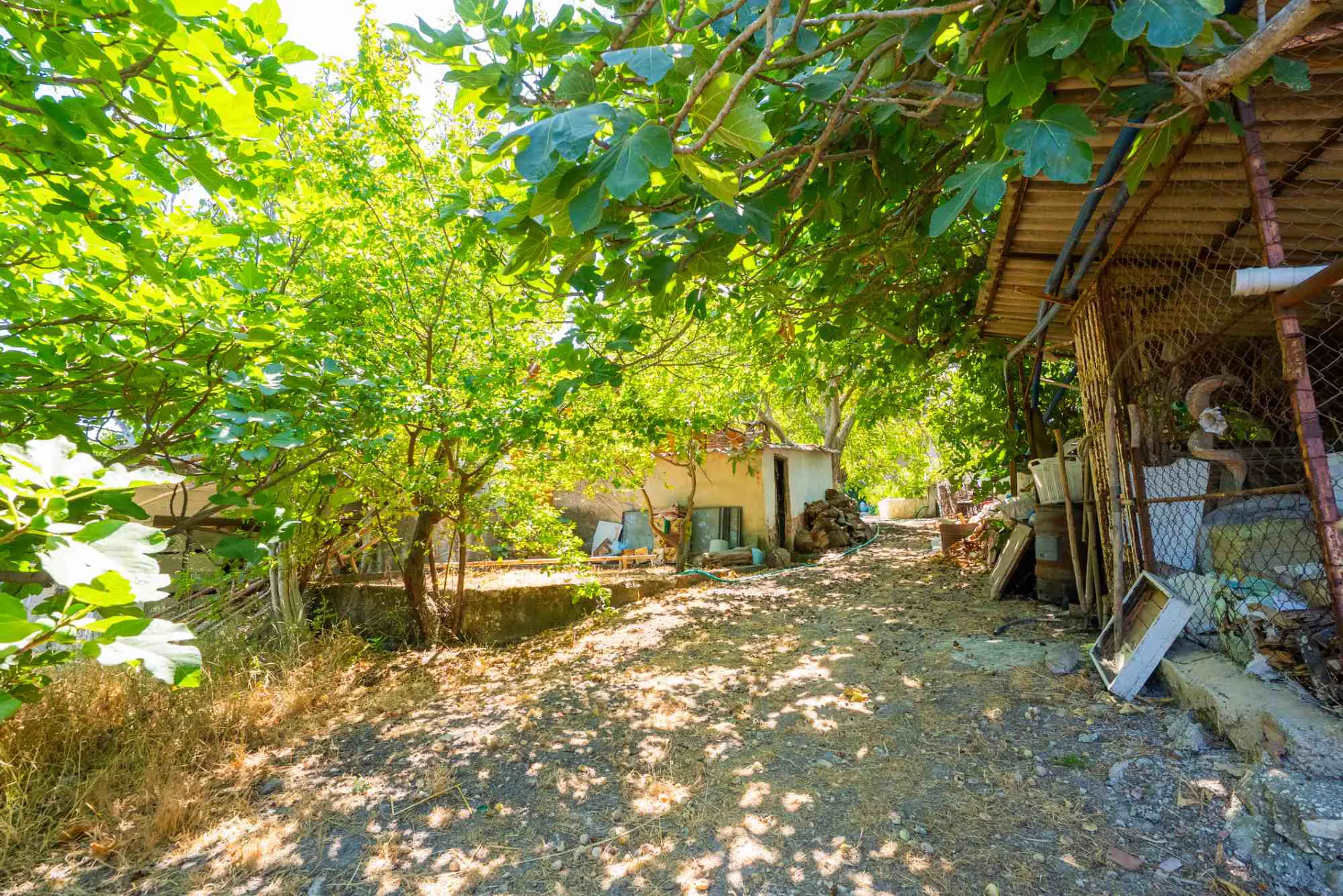 Property image 22