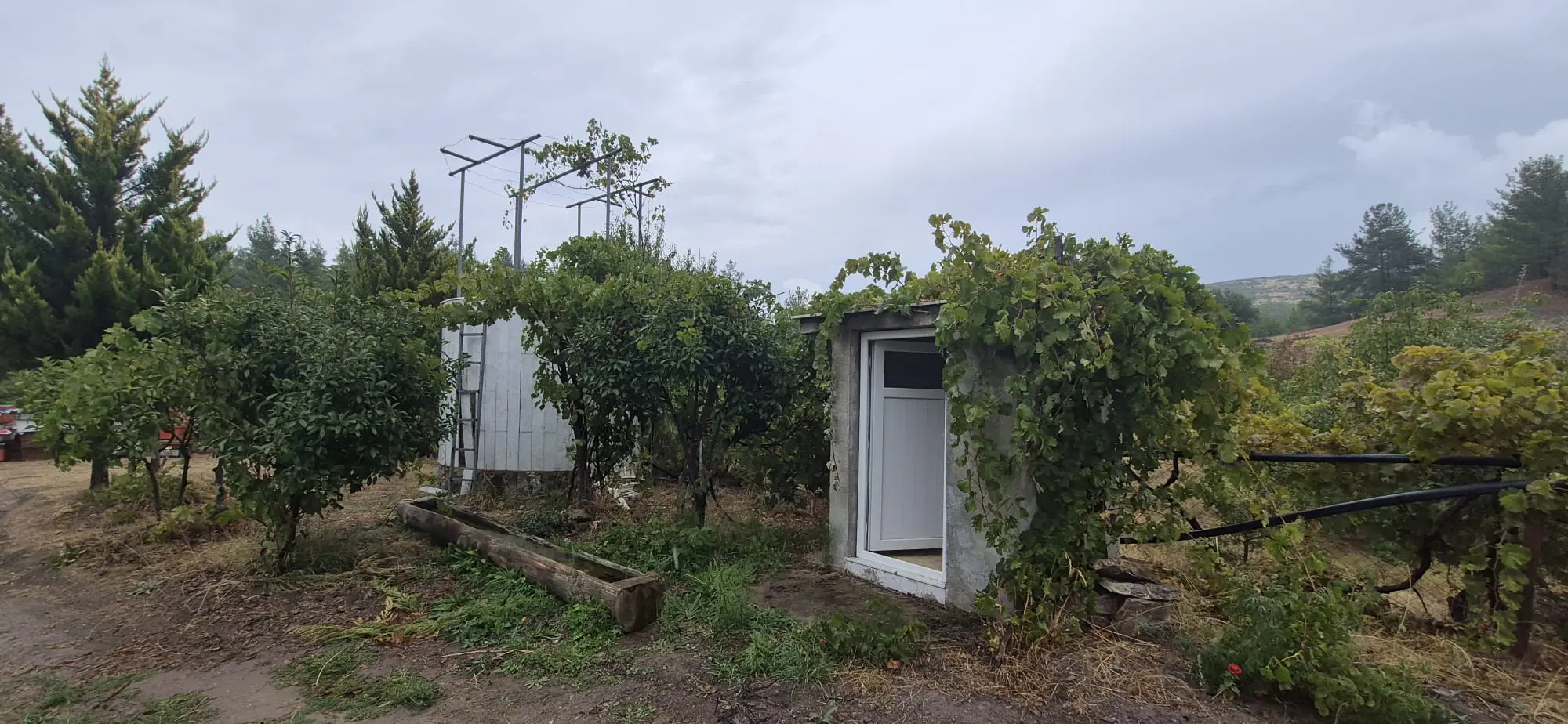 Property image 26