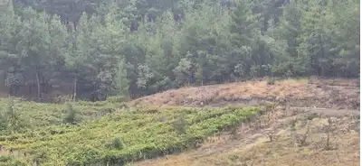 ÜRETİMİYLE ÖNE ÇIKAN, GELECEĞE DEĞER KATAN SATILIK ARAZİ