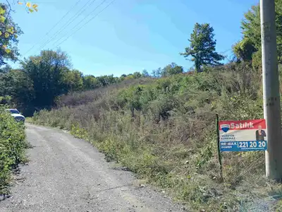 REMAX DESİGN SERDİVAN KIZILCIKLIDA YOLA CEPHELİ 5545 M2 SATILIK TARLA