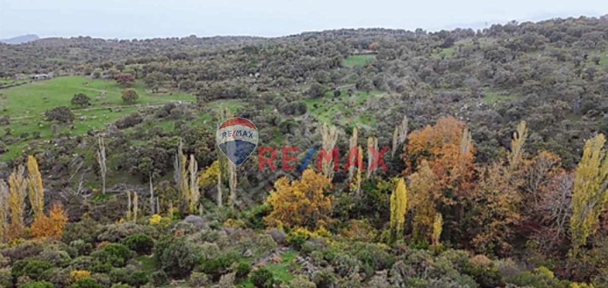 ASSOS'A 6 KM-ÇANAKKALE AYVACIK'TA FIRSAT KELEPİR BAHÇE