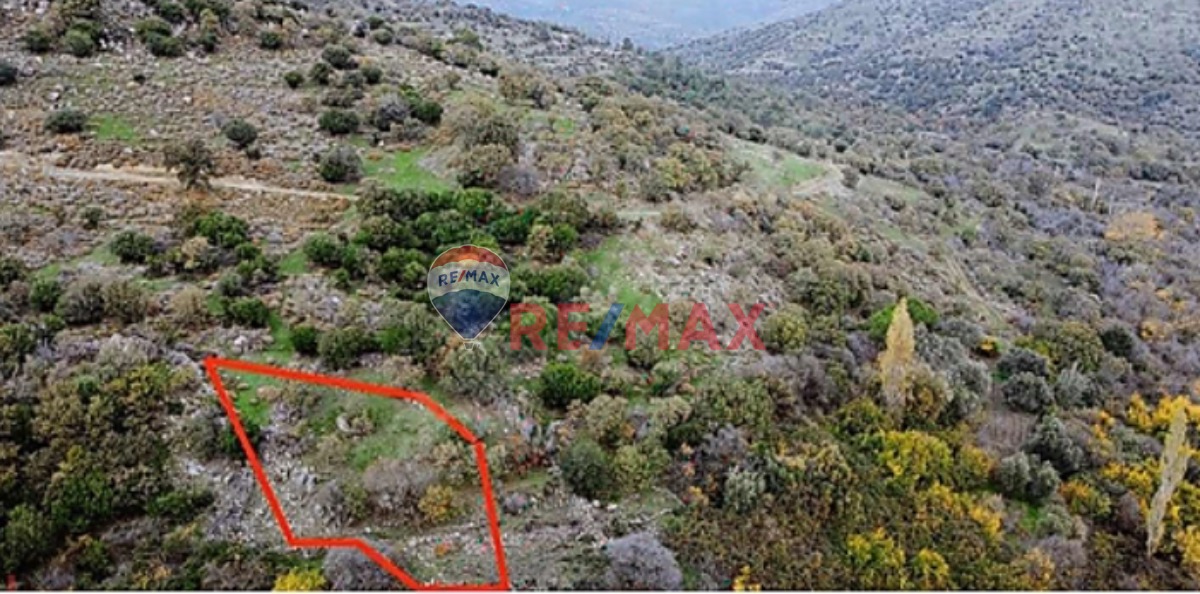 ASSOS'A 6 KM-ÇANAKKALE AYVACIK'TA FIRSAT KELEPİR BAHÇE