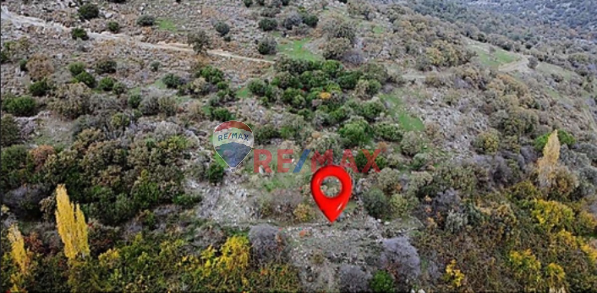 ASSOS'A 6 KM-ÇANAKKALE AYVACIK'TA FIRSAT KELEPİR BAHÇE