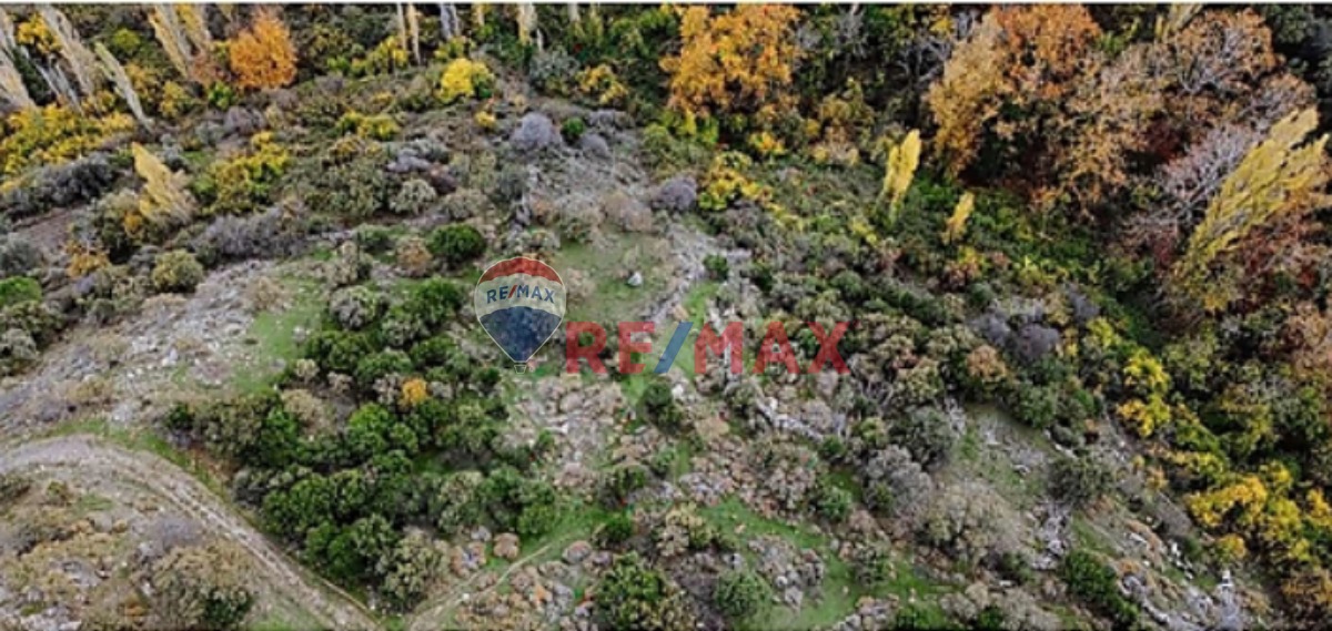 ASSOS'A 6 KM-ÇANAKKALE AYVACIK'TA FIRSAT KELEPİR BAHÇE