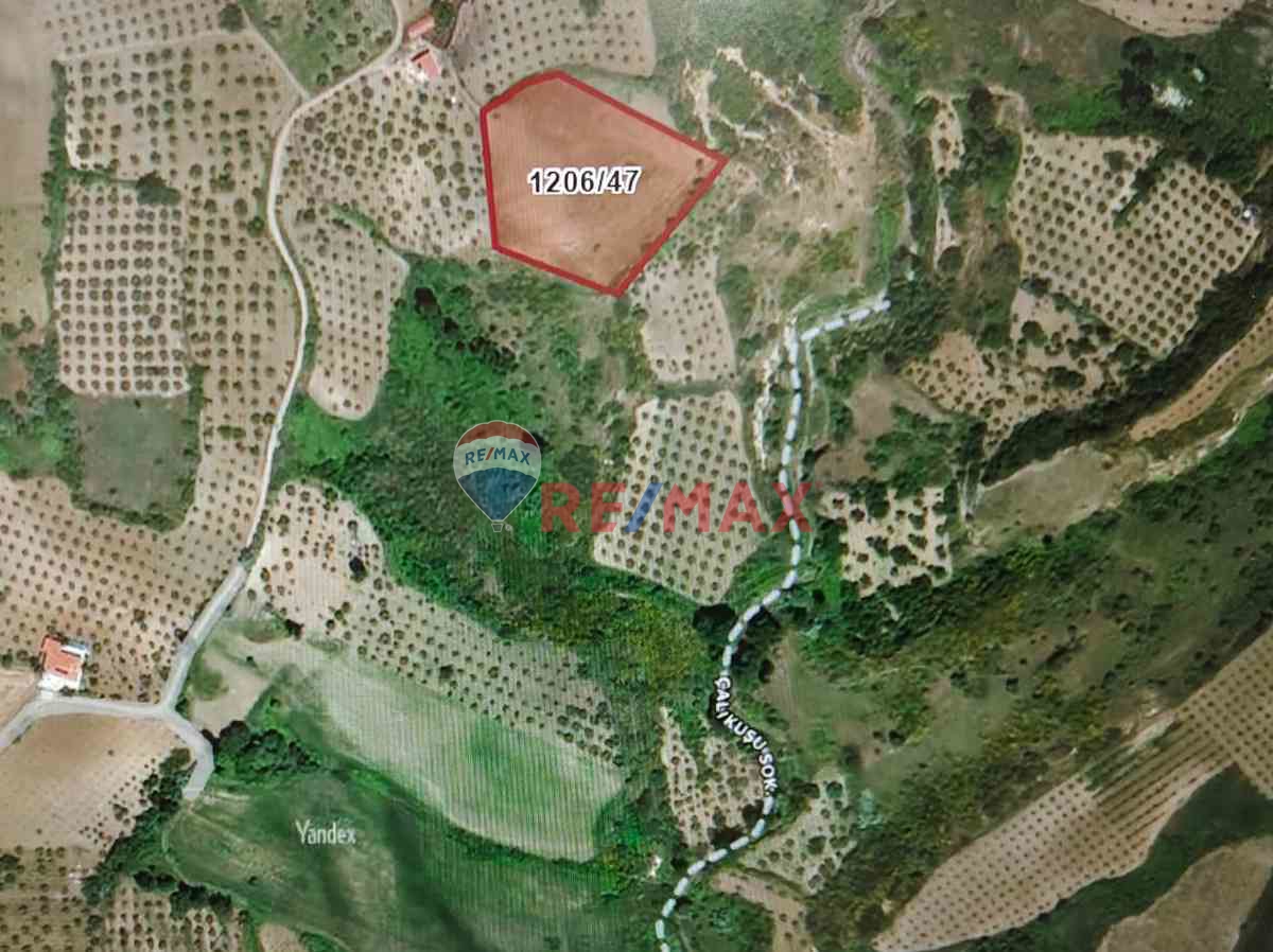 ACİL ! ŞARKÖY CAMİKEBİR'DE MÜSTAKİL TAPULU TARLA KAÇMAZ FIRSAT