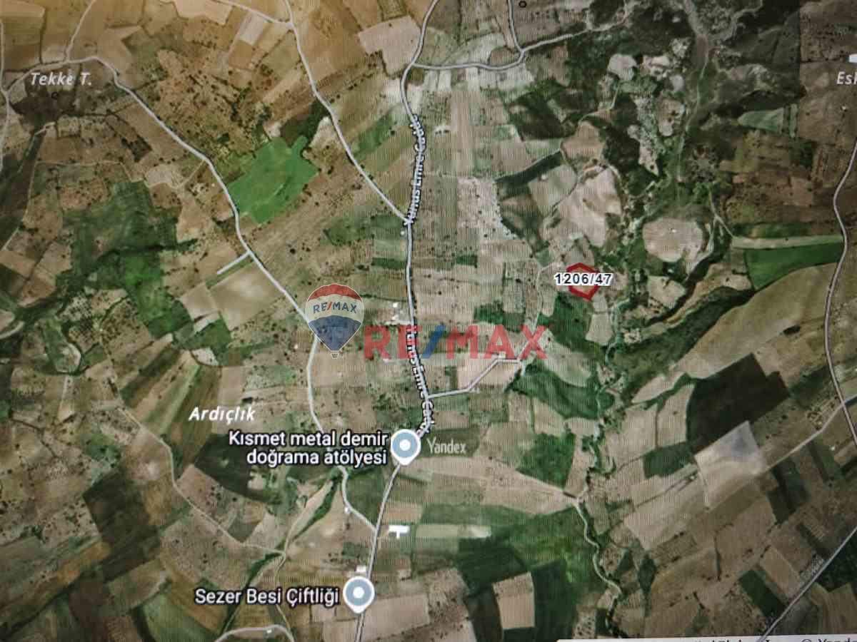 ACİL ! ŞARKÖY CAMİKEBİR'DE MÜSTAKİL TAPULU TARLA KAÇMAZ FIRSAT