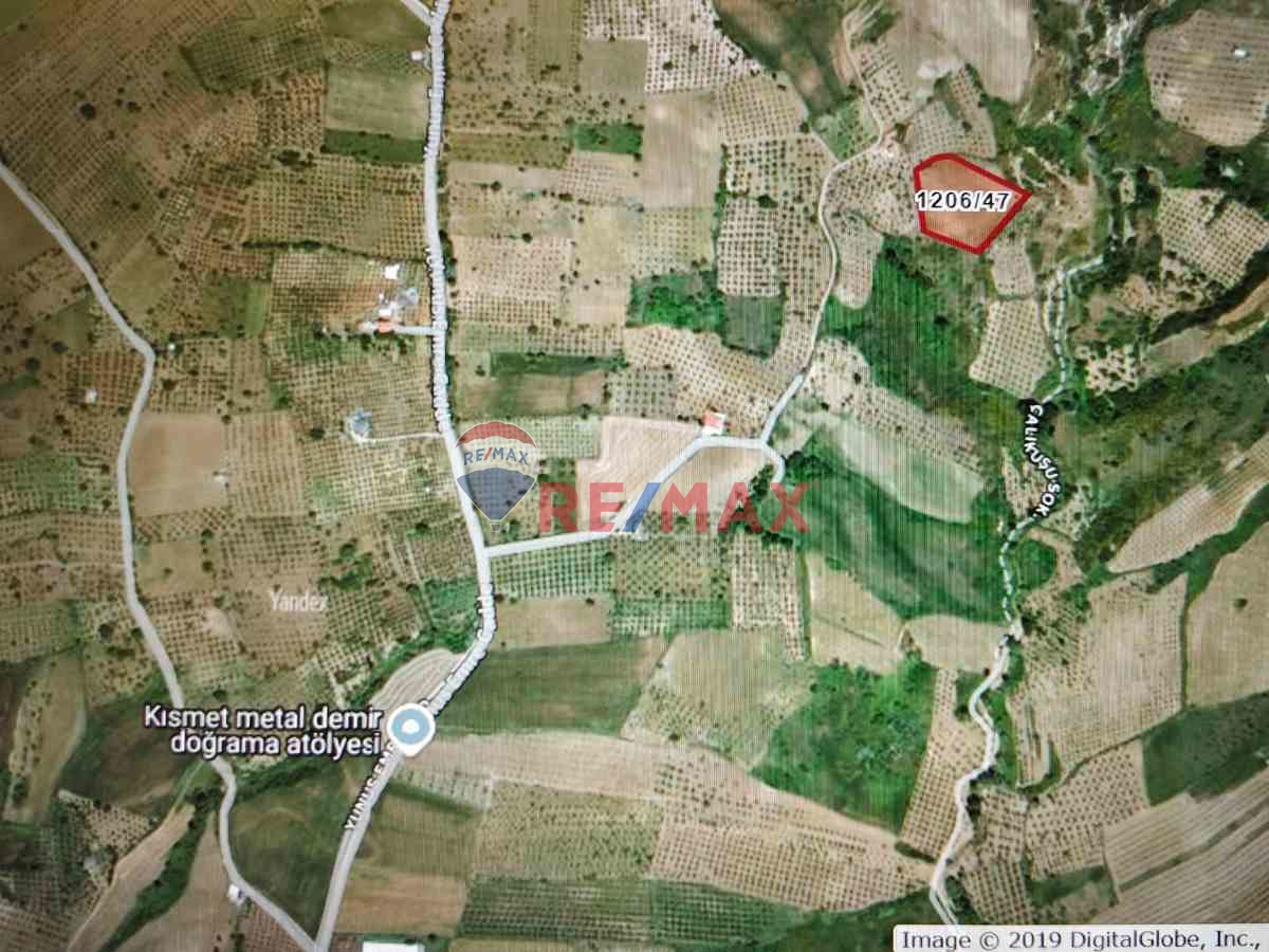 ACİL ! ŞARKÖY CAMİKEBİR'DE MÜSTAKİL TAPULU TARLA KAÇMAZ FIRSAT