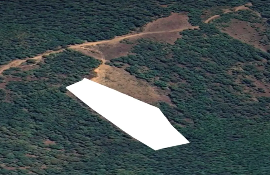 SÜLEYMANIYE'DE ORMAN SINIRINDA 5.338 M² SATILIK TARLA
