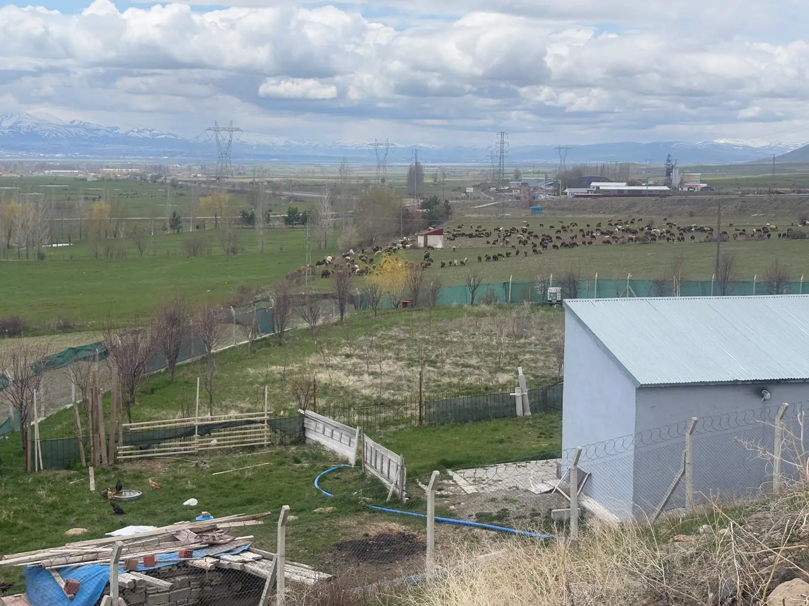 Property image 10