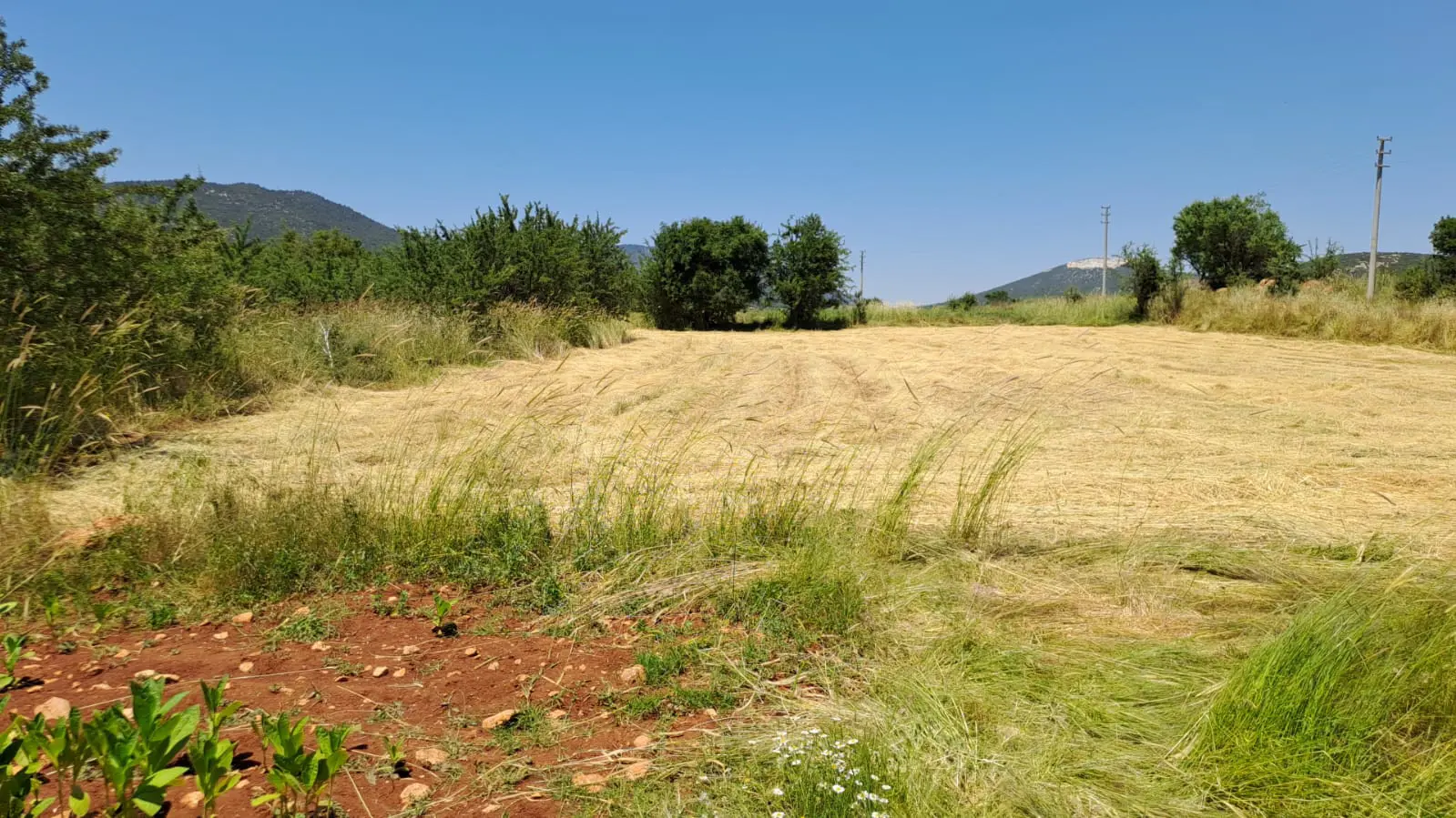 Property image 18
