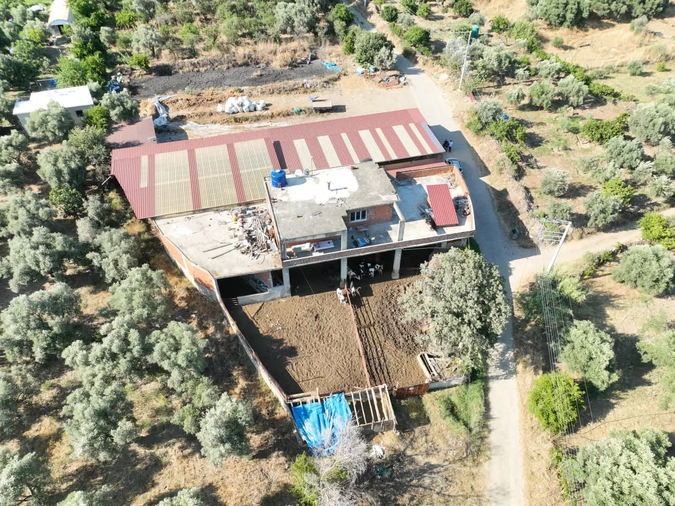 Property image 6