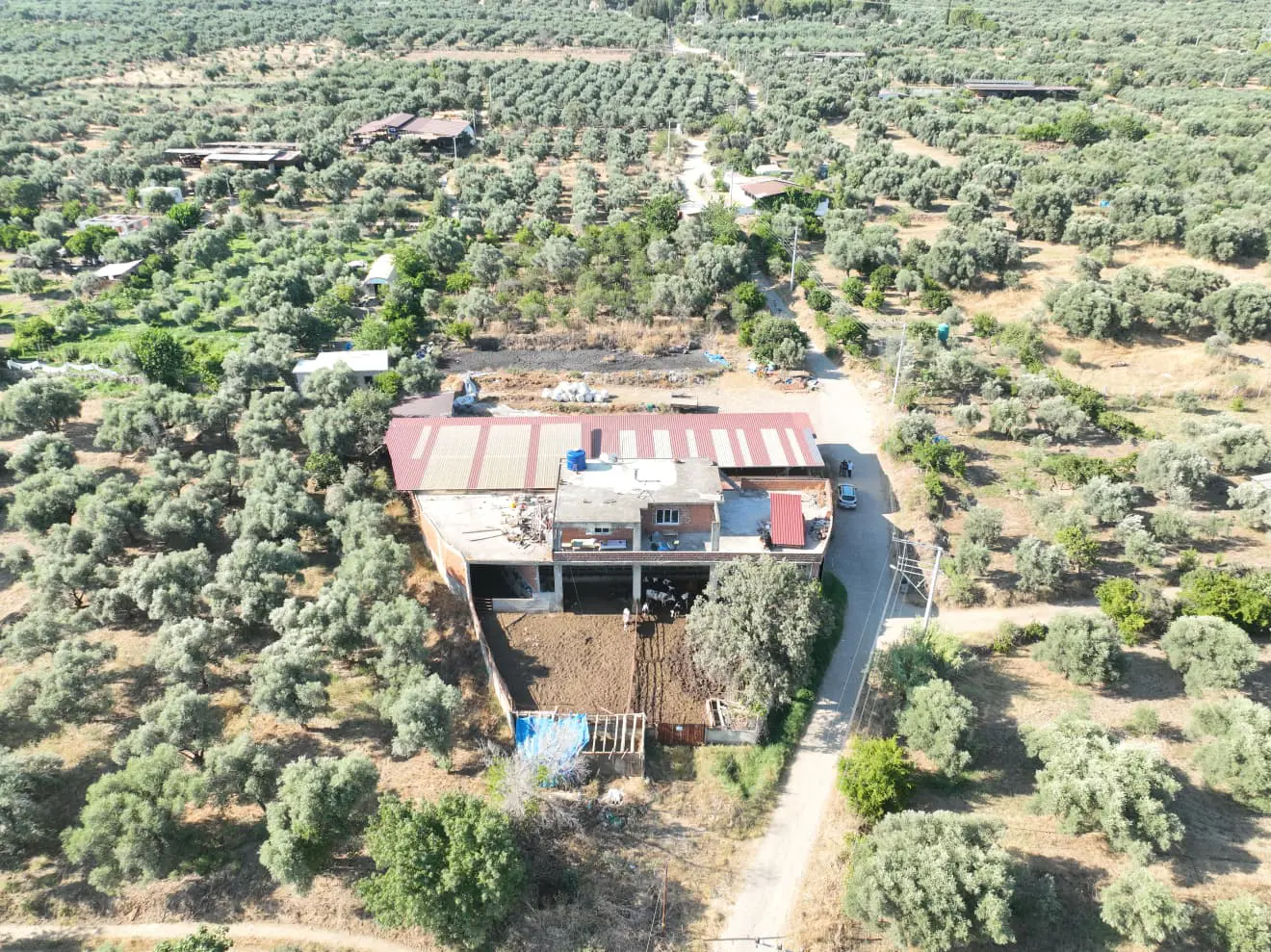 Property image 12