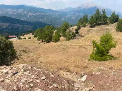 ANTALYA ÜÇOLUK’TA SATILIK TARLA