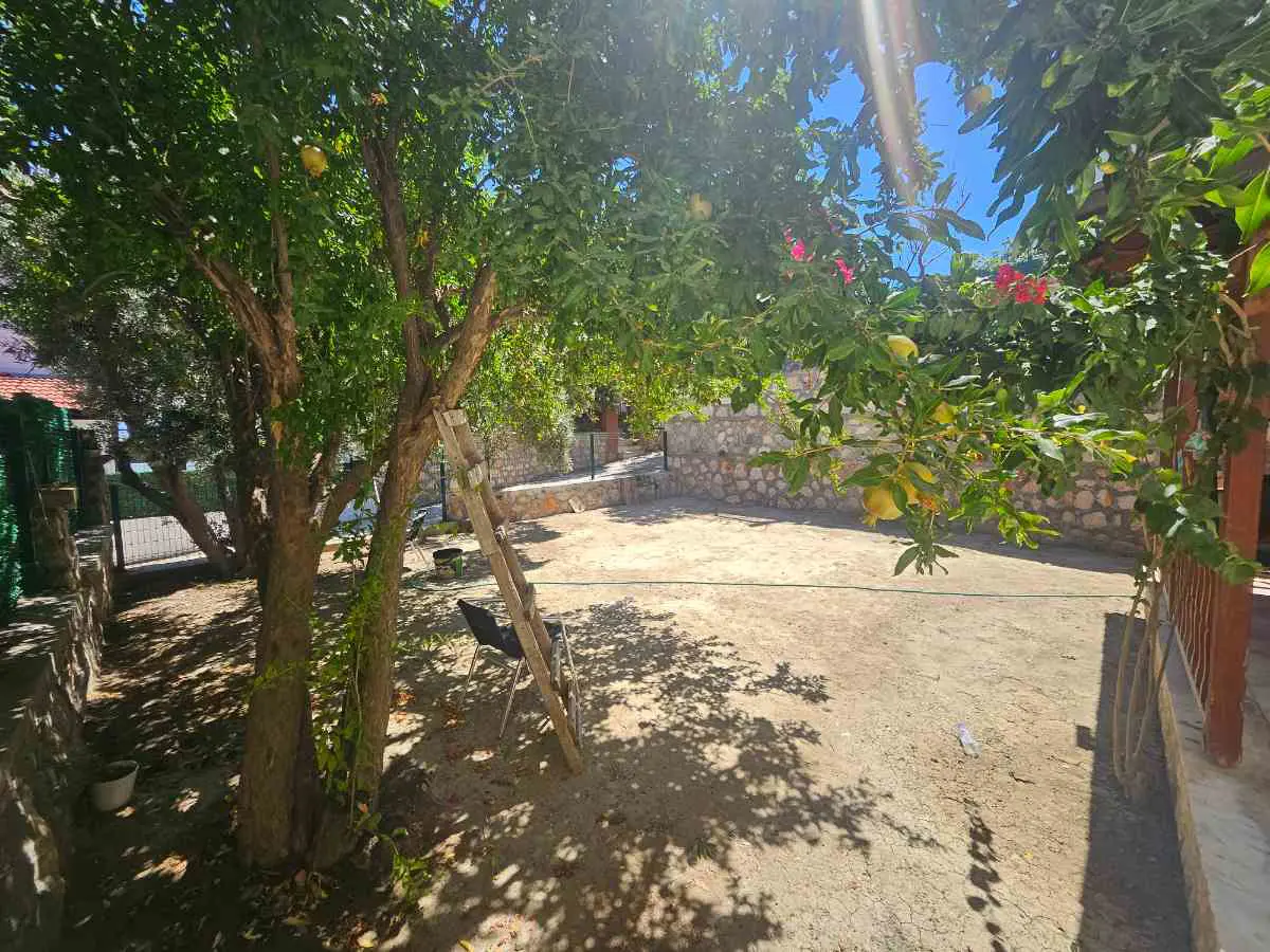 Property image 16