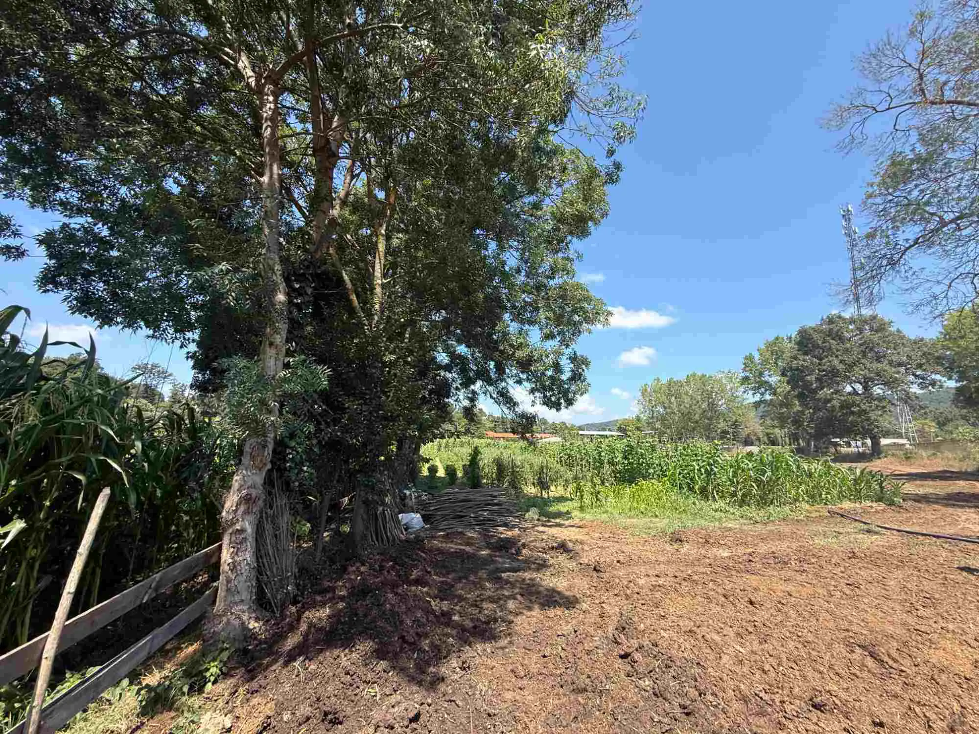 Property image 30