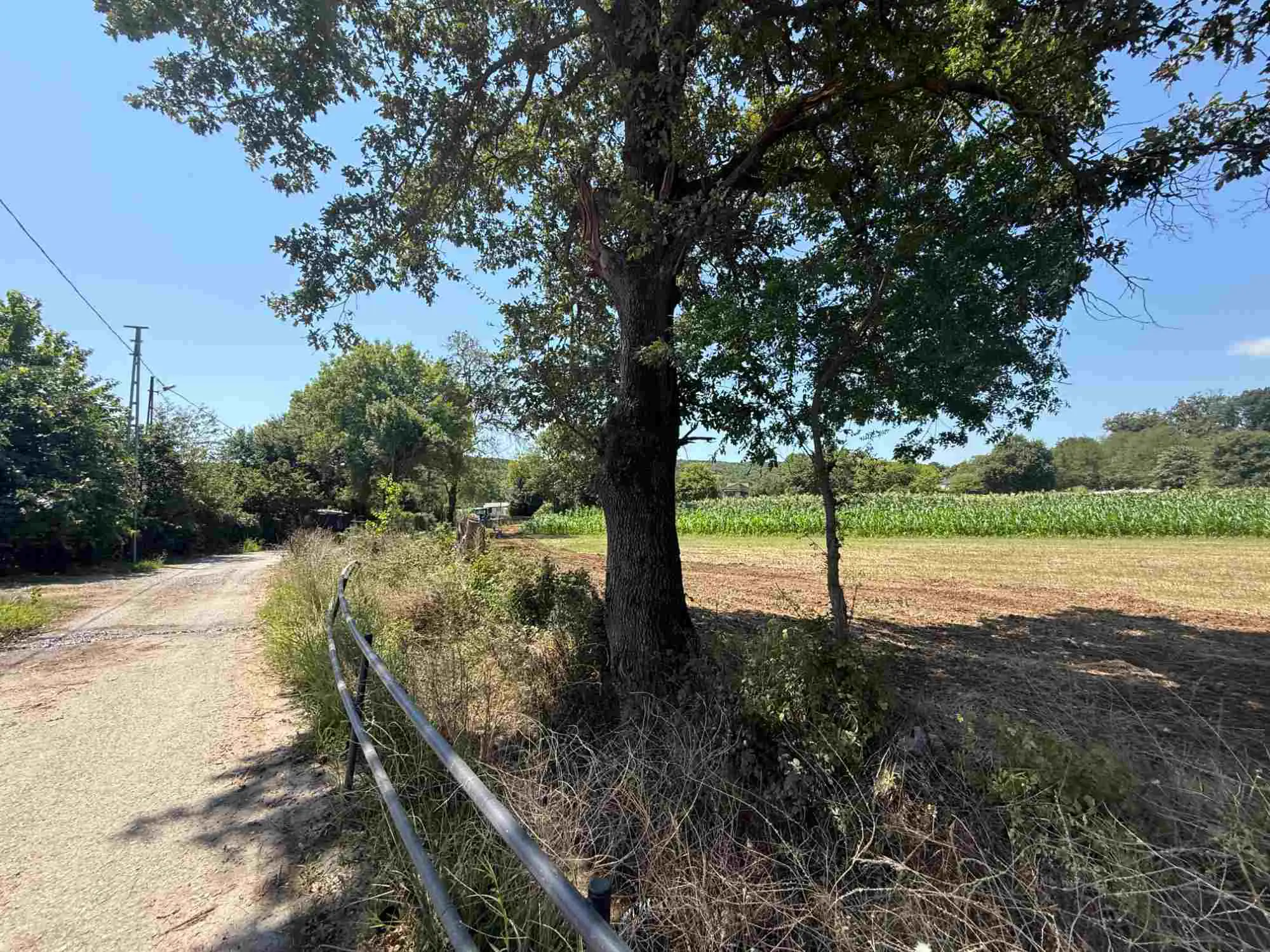 Property image 26