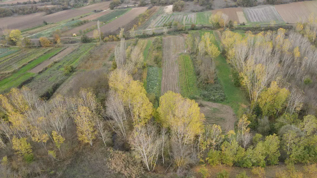 ATAKÖY ASFALT CEPHEYE YAKIN 619M2 SATILIK BAHÇE