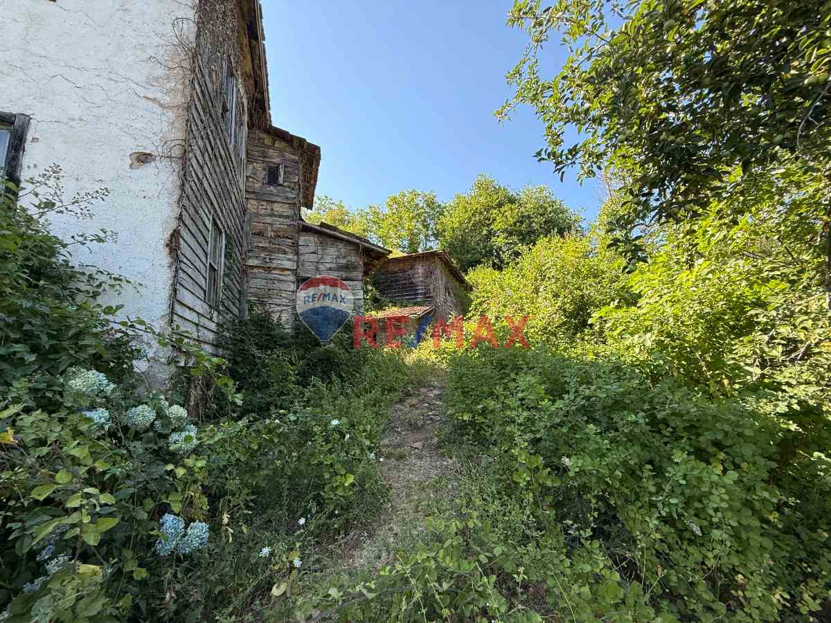 Property image 30