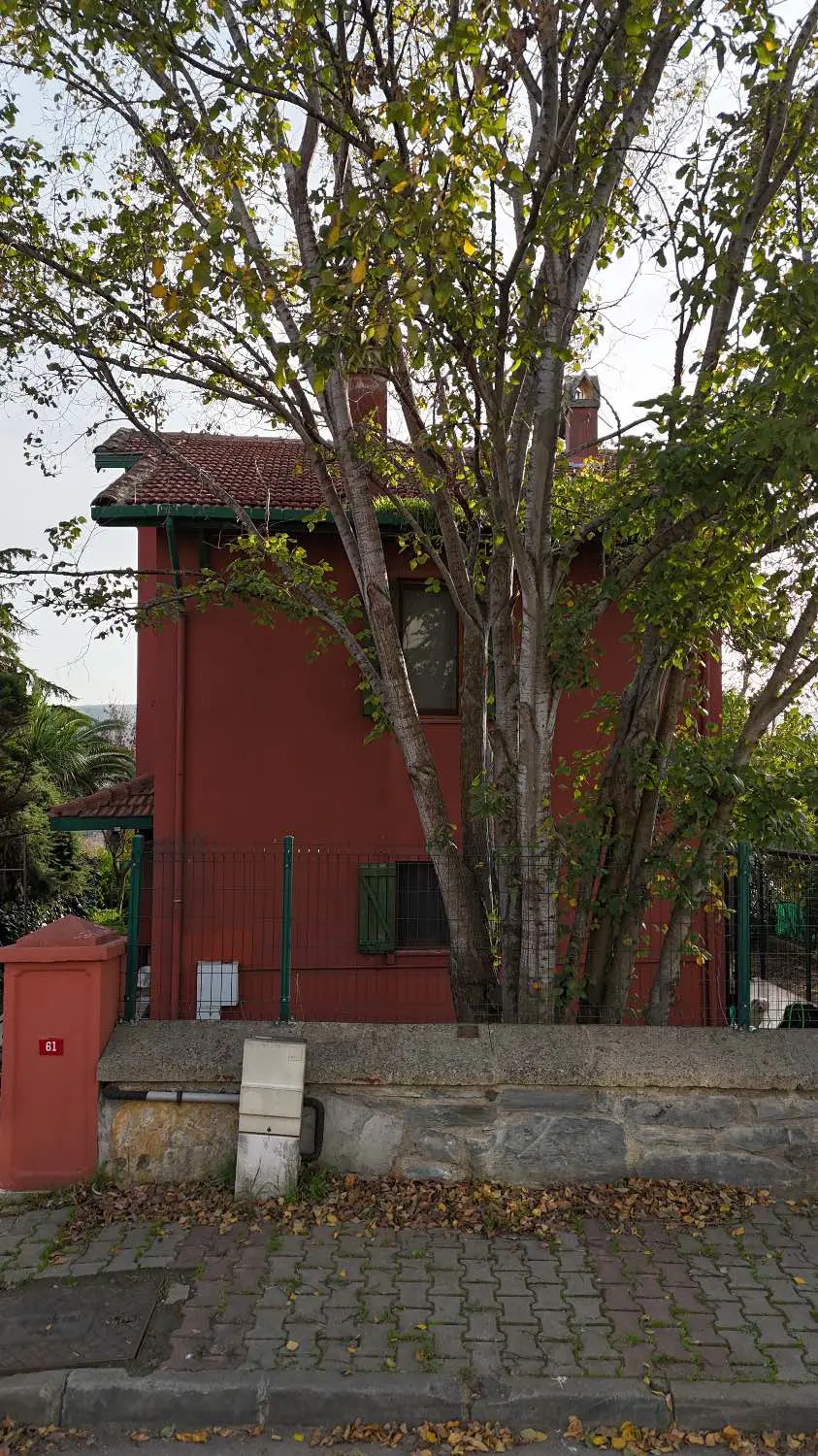 Property image 7