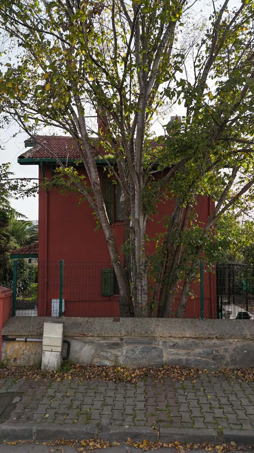 Property image 8