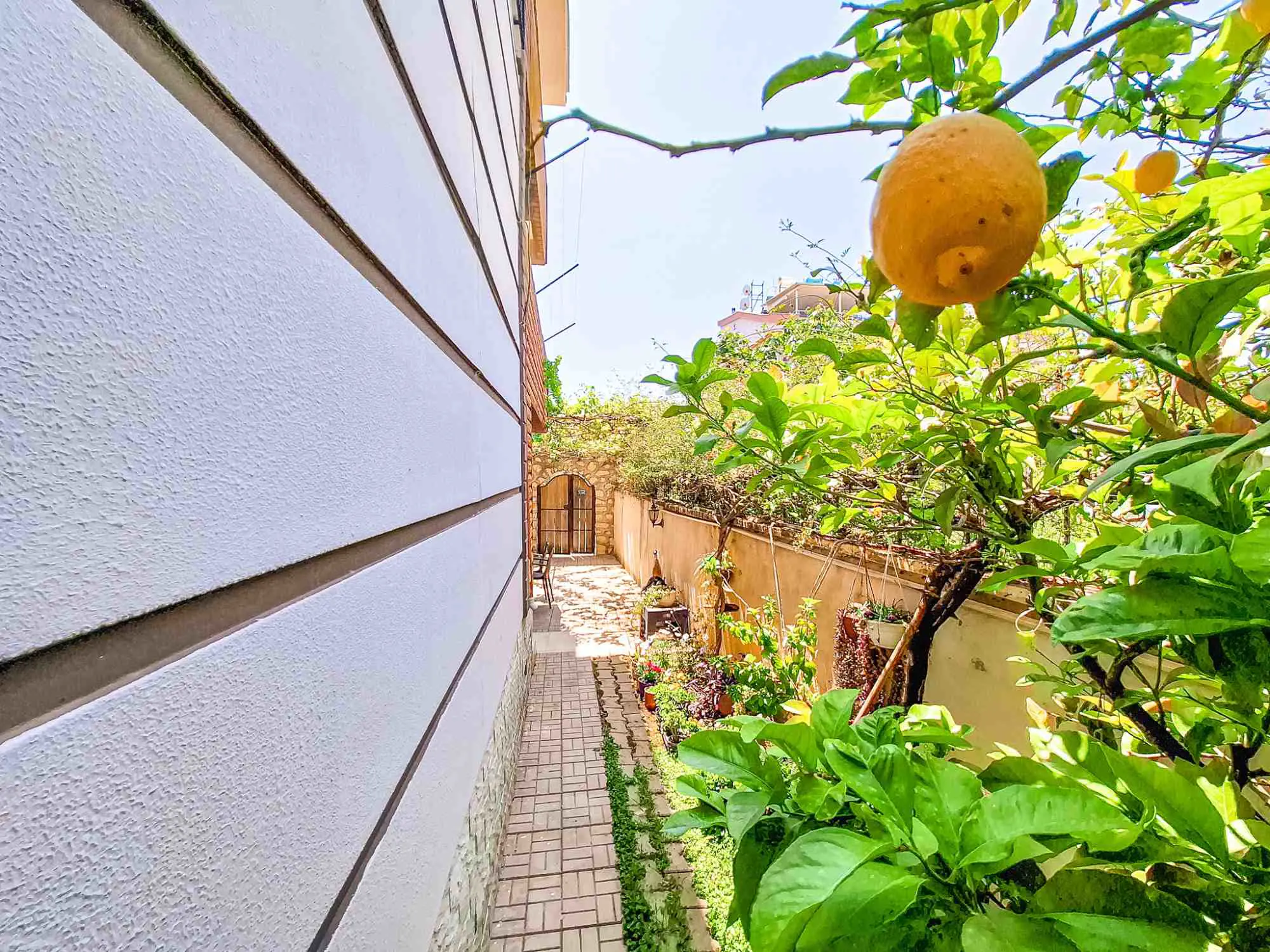 Property image 50