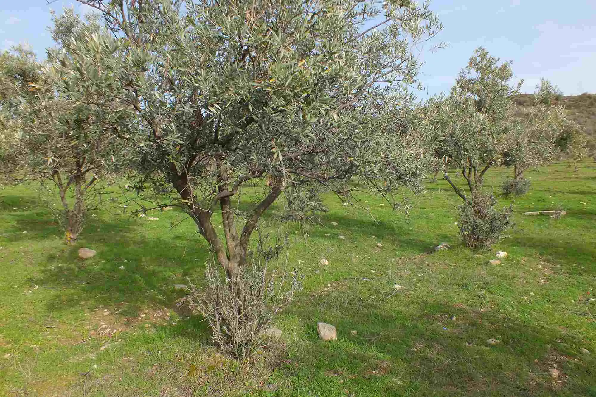 Property image 30