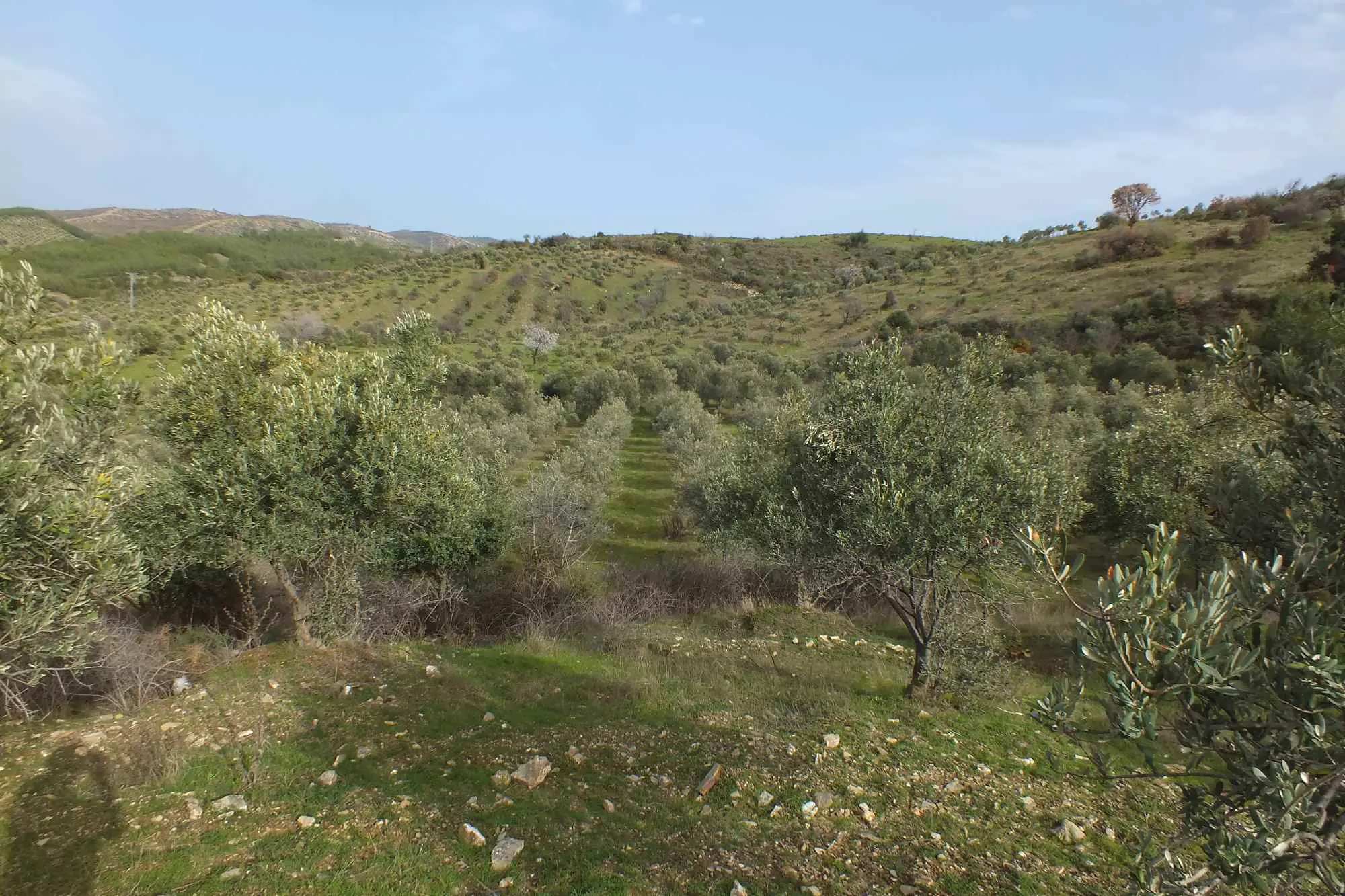 Property image 18