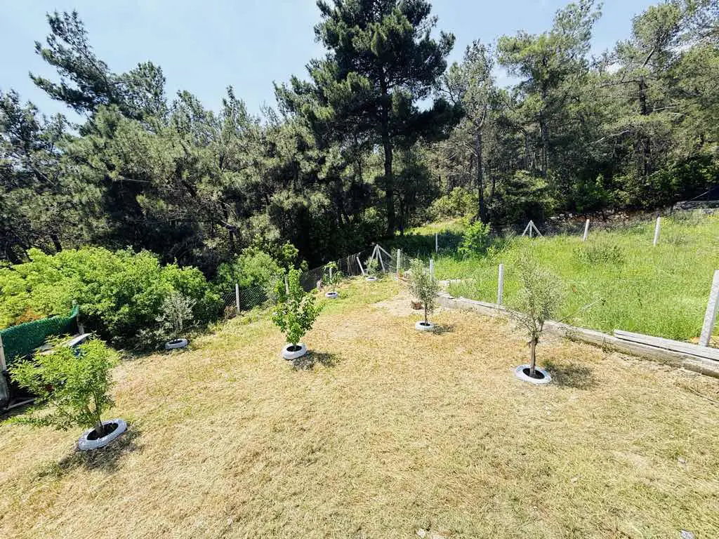 Property image 27
