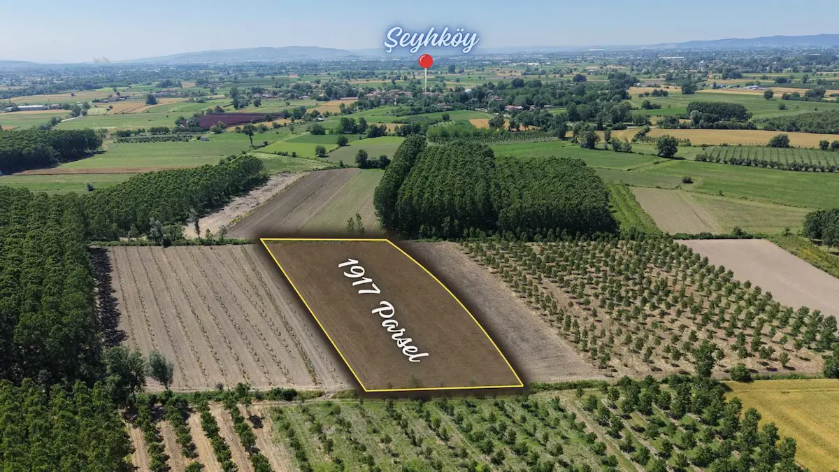 ERENLER ŞEYHKÖY MERKEZE YAKIN 5700 M² KAVAK EKIMINE UYGUN ARAZI