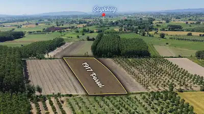 ERENLER ŞEYHKÖY MERKEZE YAKIN 5700 M² KAVAK EKIMINE UYGUN ARAZI