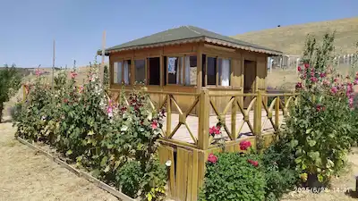 MÜHYE VADİ'DE SATILIK HOBİ BAHÇESİ