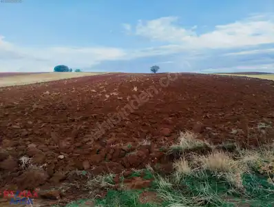ACİL! AFYON/KIZILÖREN MERKEZ-YOLA CEPHE, EV YAPIMINA UYGUN ARAZİ