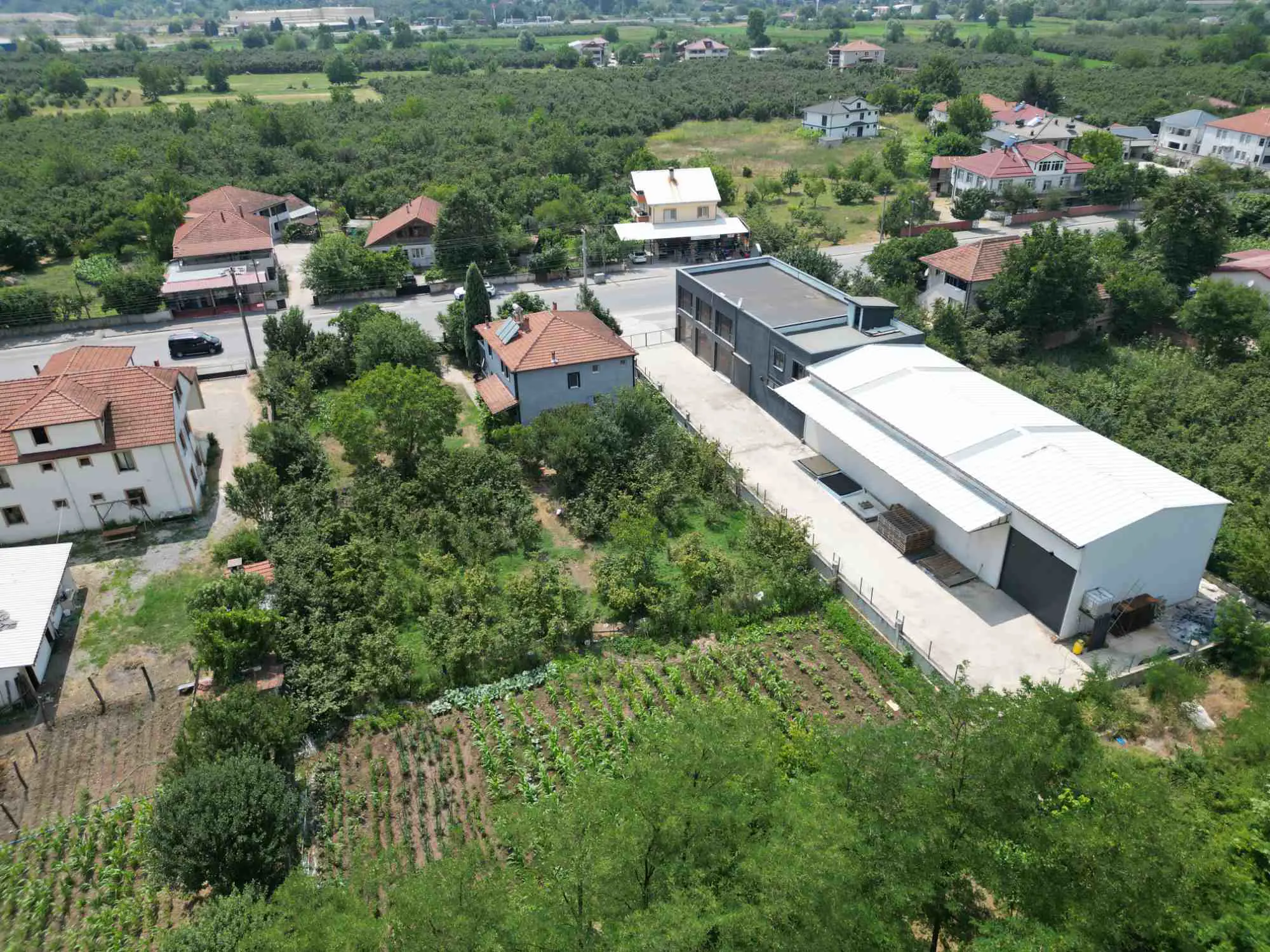 Property image 61